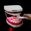 În stoc Terapie cu lumină roșie Dinți Periuță de dinți LED Fabrică directă Logo personalizat Îngrijirea gingiilor