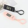 Přenosný elektronický klíčenka hodinky Mini kapesní elektronické oválné závěsné hodinky Digitální stolní čas datum displej hodiny pro studenta