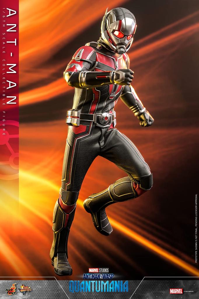 Movie Masterpiece and the Quantomania Scale Figure Ant-Man Wasp Ant-Man 1/6