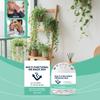 Air Freshener Box 120g Natural Home Odor Eliminator for Indoor Use Long Lasting Fresh Scent Moisture Absorber Compact Design