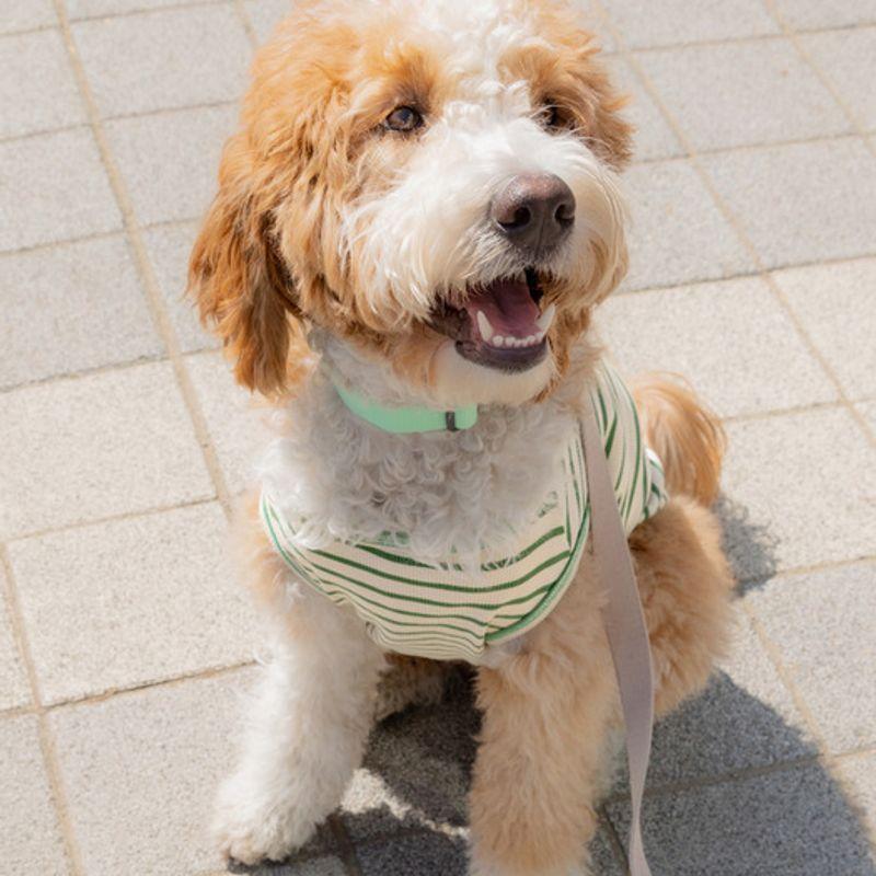 UBUN`TU Daily Stripe Sleeveless Green