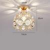 Crystal Chandelier for American Clothing Store Entrance
