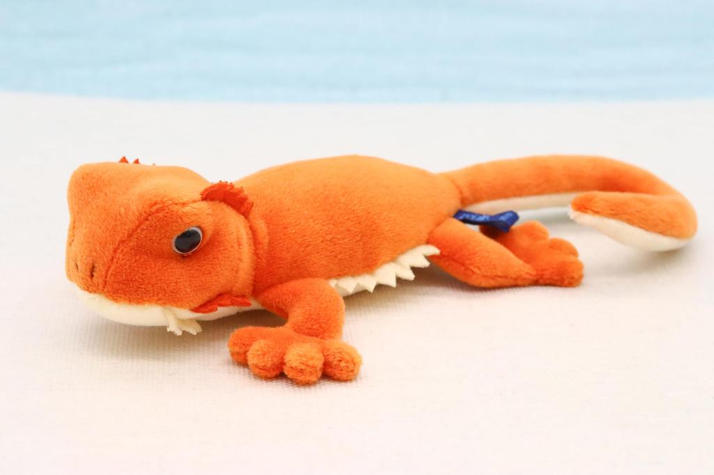 Take Off Magnet Bearded Dragon The Limbs Are Magnetic