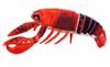 [dokidoki] Crayfish, American Crayfish, Lobster, Shrimp, Spiny Lobster, Tiger Prawn, Plush Toy, Cushion, Body Pillow, Cute, Funny Goods, Party Goods,