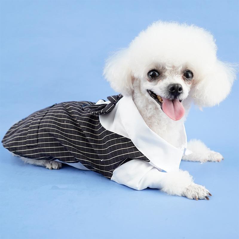 Pet dog student suit pet clothes couple dress skirt suit striped spring and summer cat dog little teddy