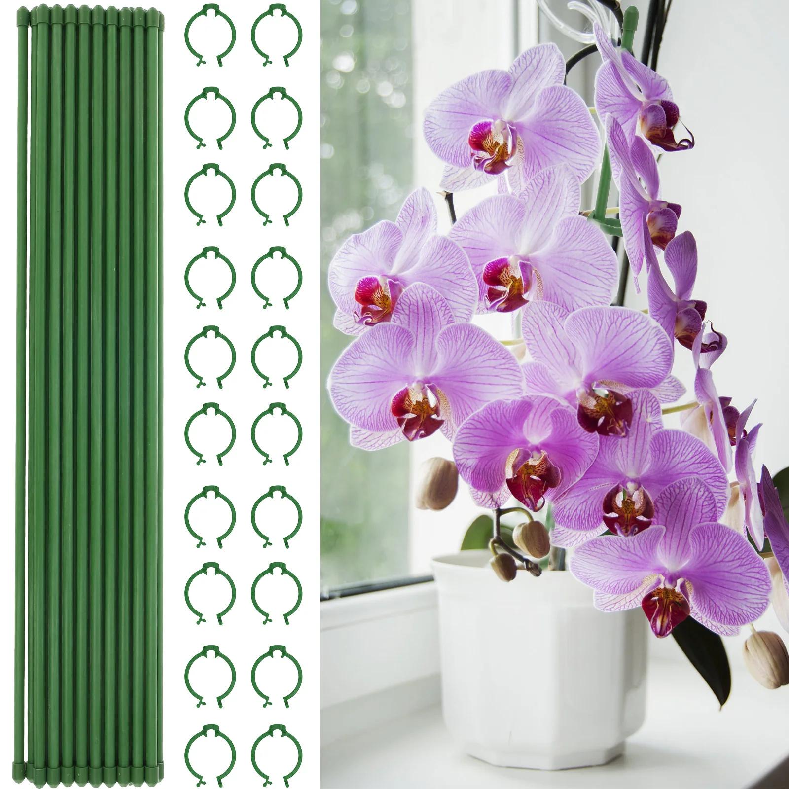 20Pcs 45cm Plant Stakes Green Bamboo Reusable Plant Support Stake for Potted Plants and Indoor Plants Gardening Tools