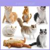 Realistic Short-haired Cat Figurine Maine Coon Ragdoll Cat Models In Seven Varieties