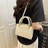 Hand Bag Women's Spring and Summer New Version Fashion Trendy Small Square Bag Texture Simple Casual Messenger Bag