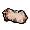 Irregular Shape Entryway Rug Cat Dog Decor Door Mat Hallway Entrance Mat  Front Door Hallway