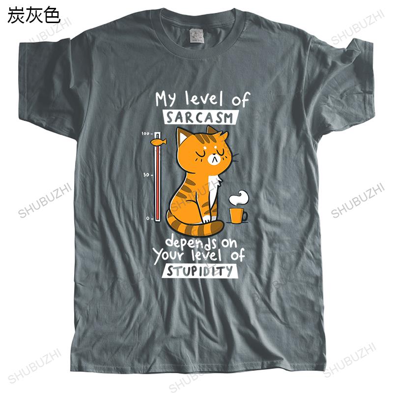 Homme T Shirt Summer Men High Quality Tshirt My Level of Sarcasm Depends On Your Level of Stupidity Unisex Teeshirt Vintage