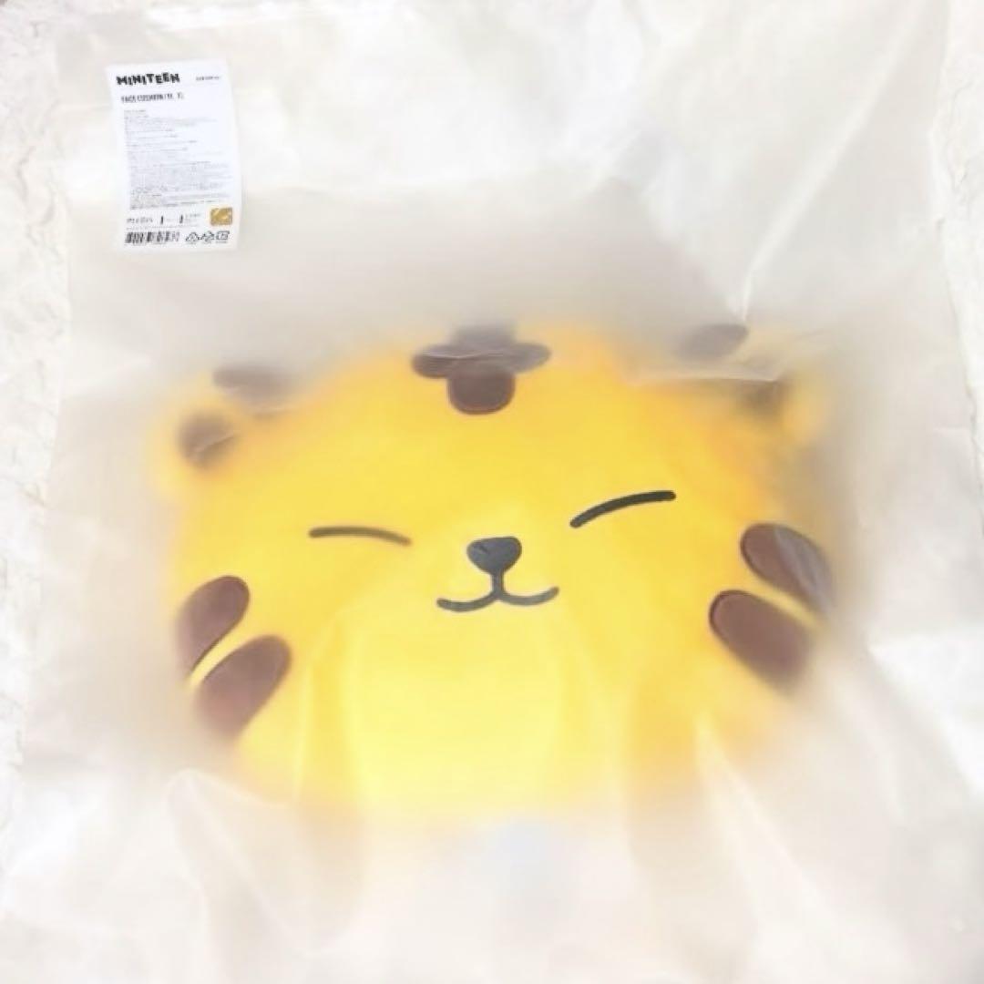 

[USED] SEVENTEEN miniteen TAMTAM Star Cushion