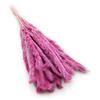 Mini Pampas Grass - Heather