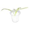 30 * 35mm Orchid Pots Round Planting Basket 50Pcs Vegetable Soilless Cultivation