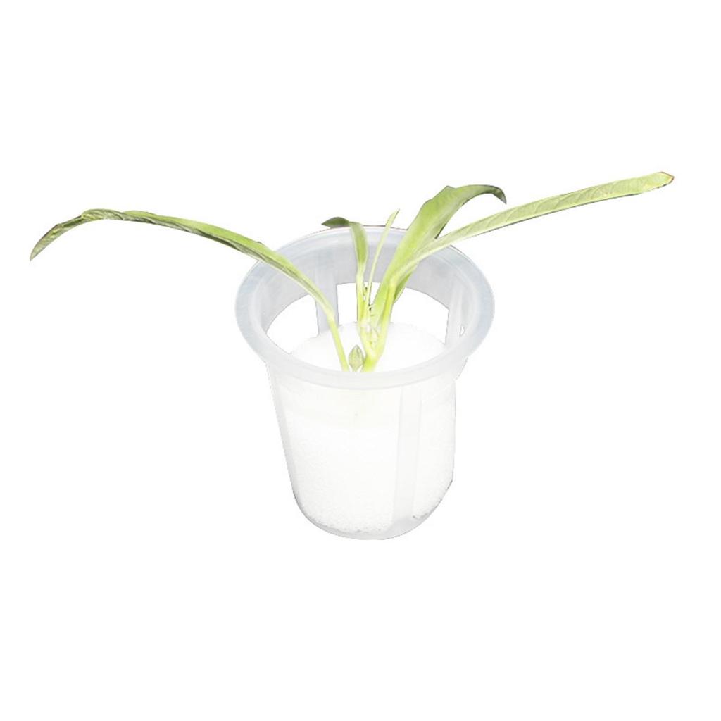 30 * 35mm Orchid Pots Round Planting Basket 50Pcs Vegetable Soilless Cultivation