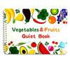 Montessori Toddler Busy Book Learning Activity Quiet Book for Early Education 2-4 Years