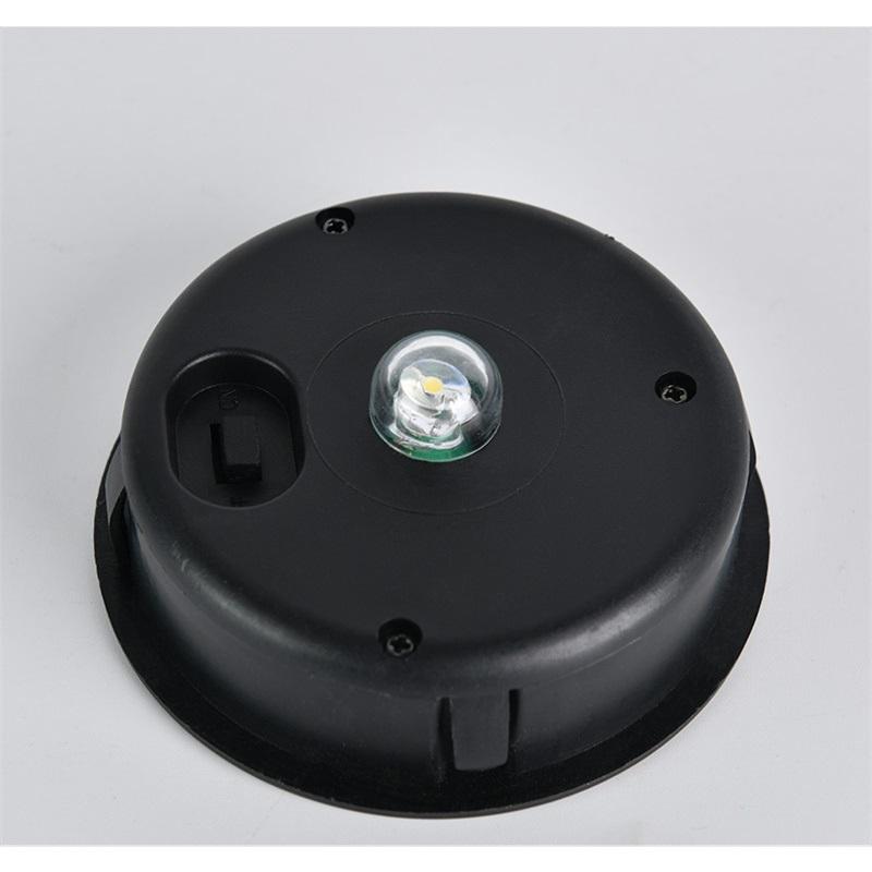 Outdoor Garden Solar Viewing Light