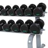 Professional Fixed Dumbbell - 25KG