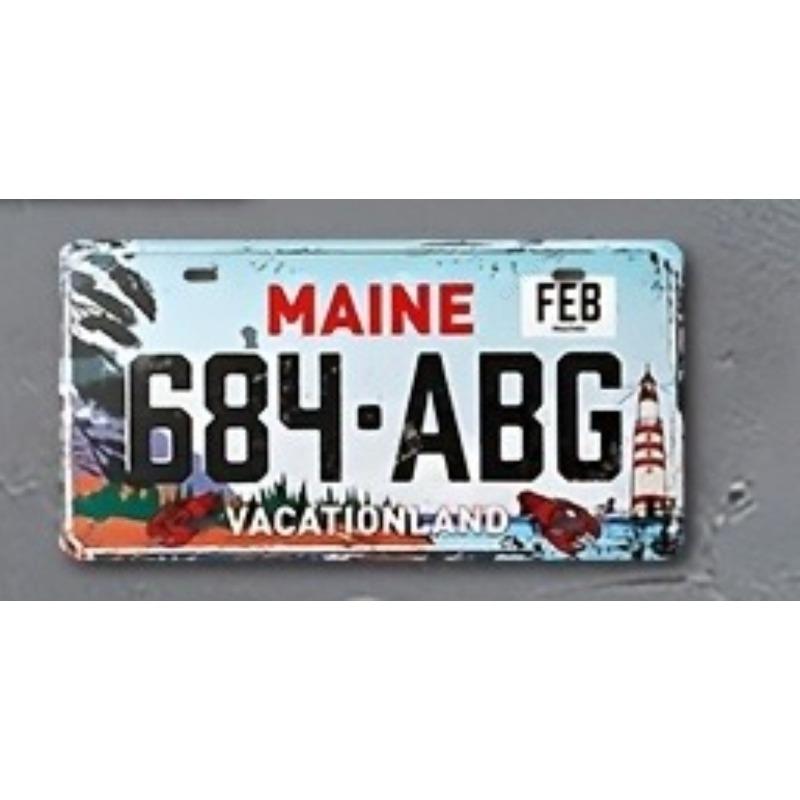 Souvenir Metal License Plate, Custom Auto Sign 15x30cm