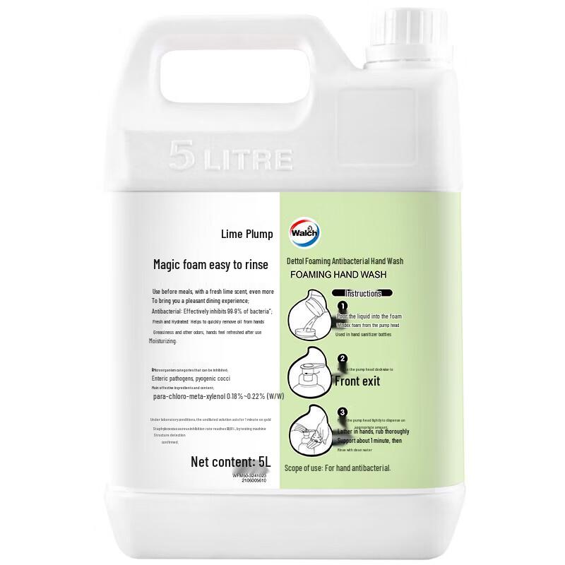Walch Foaming Antibacterial Hand Soap - Lime Scent (5kg)