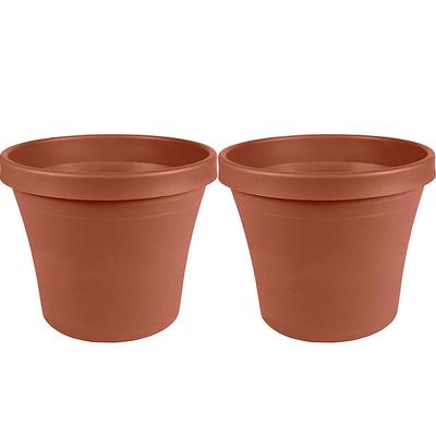 Buy Succulent Pots Bulk At Affordable Price From 2 Usd Best Prices Fast And Free Shipping Joom