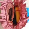 Large handbag Hanfu women's bag sweet flower wedding gift handbag boutique Lolita bow women's bag