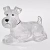 Pet Hair Memorial Keychain Pet Hair Preservation Bottle Transparent Synthetic Resin Engraved Pet Memory Jar