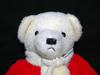 [USED] Teddy Bear Santa Claus Handmade