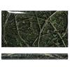 PVC Adhesive Trees Jungle Pattern Aquarium Background Poster Sticker Reptile   Decoration