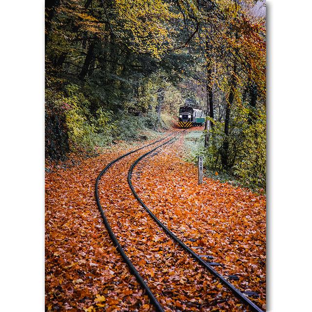 Vertical Board Beautiful Forest Scenery Modern Photo Painting Highway Winding Lines Wall Stickers HD Printing Art Decoration