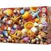 Puzzle - EDUCA - Collage de Coquillages - 1000 pièces - 68x48 cm - À partir de 12 ans