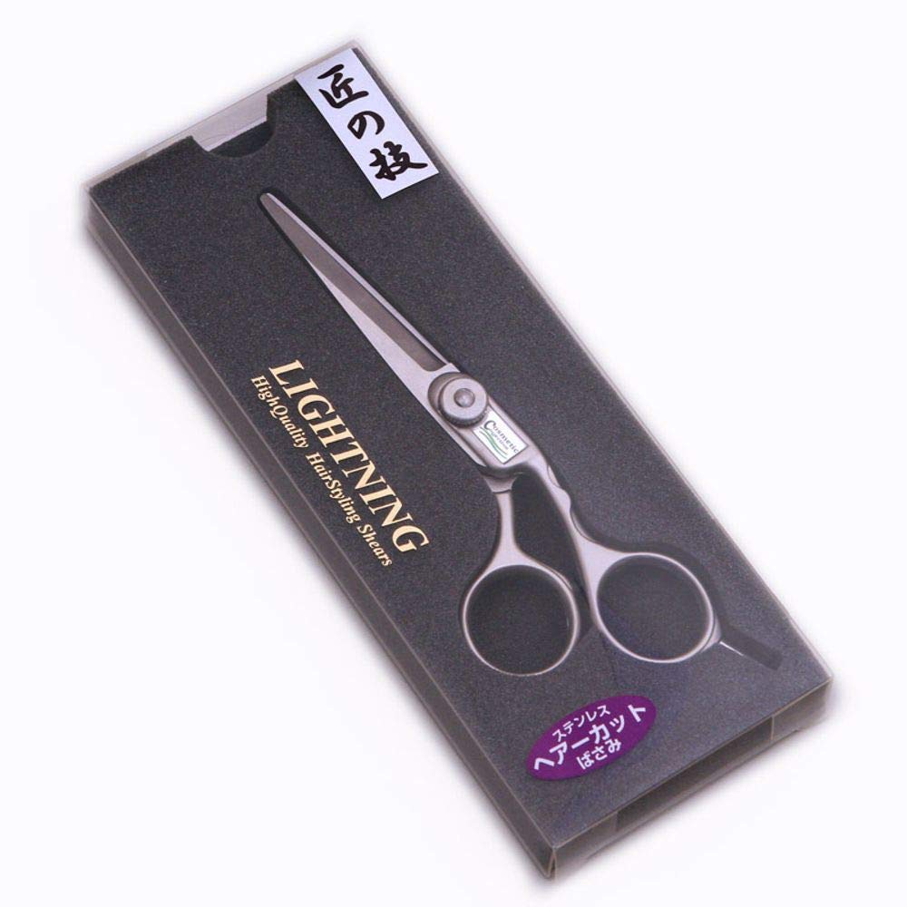 

Takumi no Waza Stainless Steel Hair Cutting Scissors Silver Total 145mm Length G-5001