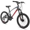 Phoenix Youth 24-Speed 20-inch Mountain Bike