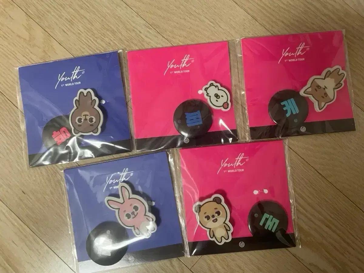 

DAY6 Youth Concert Badge Set Used