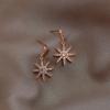 Korean Version of Diamond-encrusted Snowflake Pendant Earrings, High-end Design Ins Exquisite Fashion Earrings.