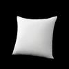Throw Pillow Cushion Insert