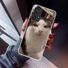 Pet Cat Funny Memes Phone Case For Samsung Galaxy A12 A52S A42 A32 A22 A51 A50 Note 20 Ultra 10 S10 Plus A71 A70 A31 A30 A10S Ga