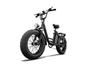 URLIFE E20 PRO Adult Electric Bike 1500W High-Power Motor 48V 15.6AH Battery 20*4.0 Inch Fat Tires for Off-Road & Urban Rides