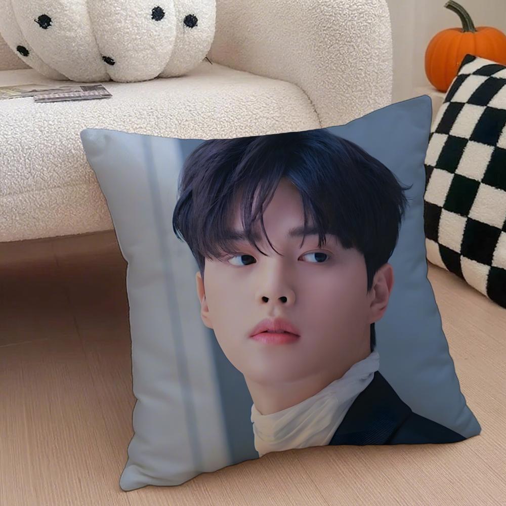 Handsome Charming Korean Actor SSong Kang Cushion Cover Throw Pillow Cover Hidden Button Durable Polyester Chair Cushion