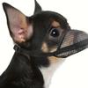 One pet bite-proof mesh mask, specially designed for small and medium-sized dogs, with an open breathable dog mouth cover