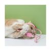 Creative Pet Growth Environment, Interactive Cat Hat For Summer Comfort And Natural Instinct Encouragement