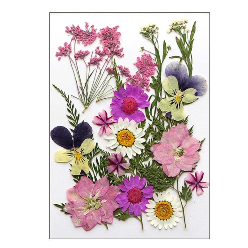 Dried Pressed Flower for Resin Molds Natural Dry Flower Leaves for Art Craft Supplies Scrapbooking Jewelry Making 6XDE