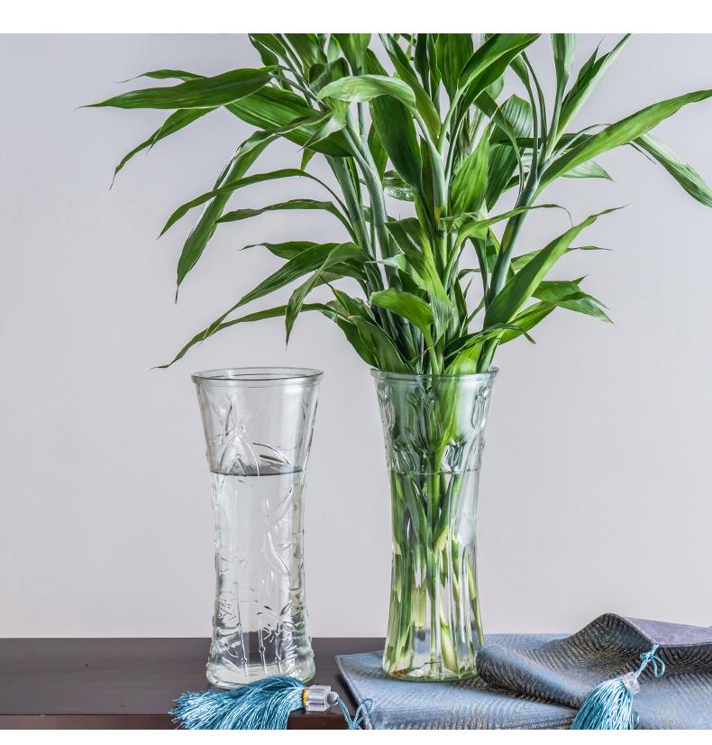 Thickened Transparent Glass Vase for Hydroponic Bamboo & Dry Flower Arrangement