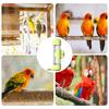 Bird Cage Water Dispenser 200ml Bird Water Feeder Firing Pin Design Automatic Clear Water Dispenser For Conure Cockatiel