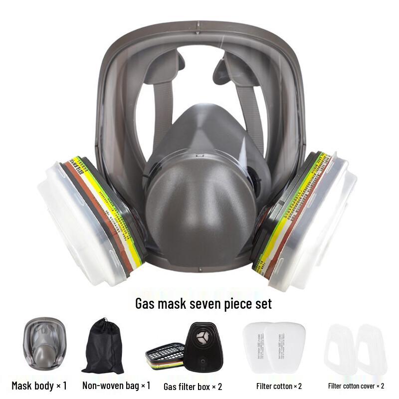 DAXTE Full Face Respirator Mask Kit
