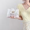 New Fashion, Elegance, Transparency, Small Square Bag, Literary Model, Illustration, Printed Handbag, Shoulder Slung