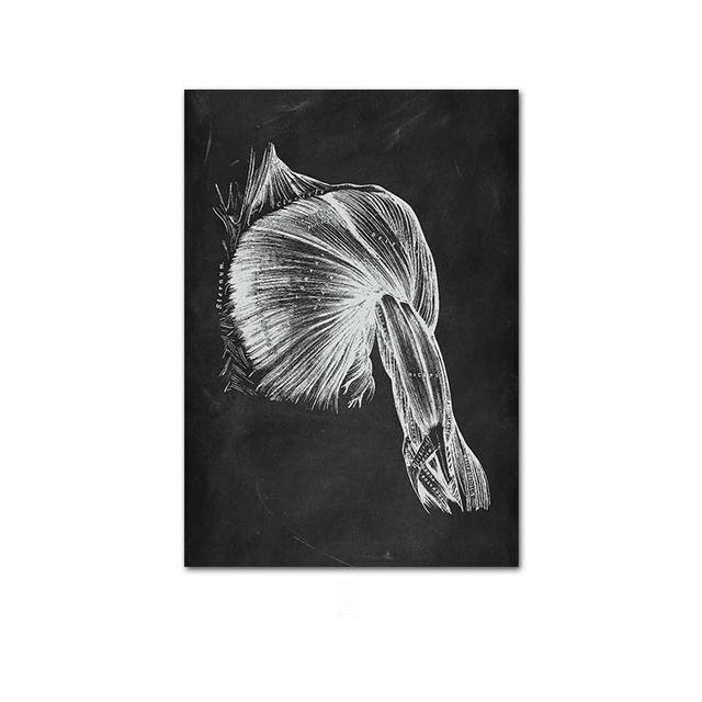 Human Musculoskeletal Heart Anatomy Skeleton Poster Canvas Painting and Printmaking Home Room Painting Decorative Art No Frame