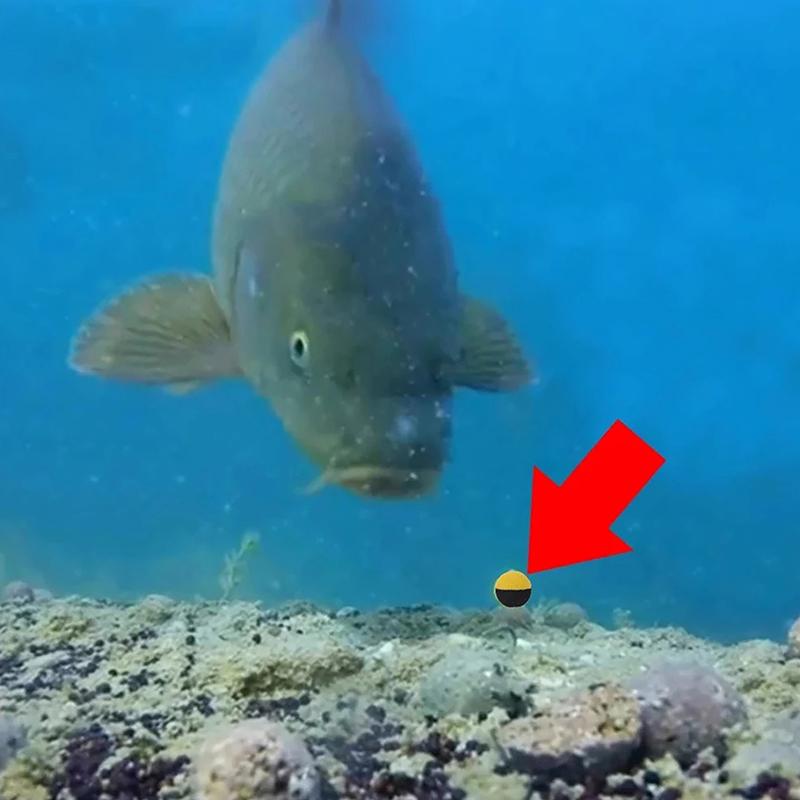 10Pcs/Pack Carp Fishing Boilies Bait Duo Foam Up Boilies Ball Imitation Bait For Carp Hair Zig Rig Feeder Method Fishing Lures