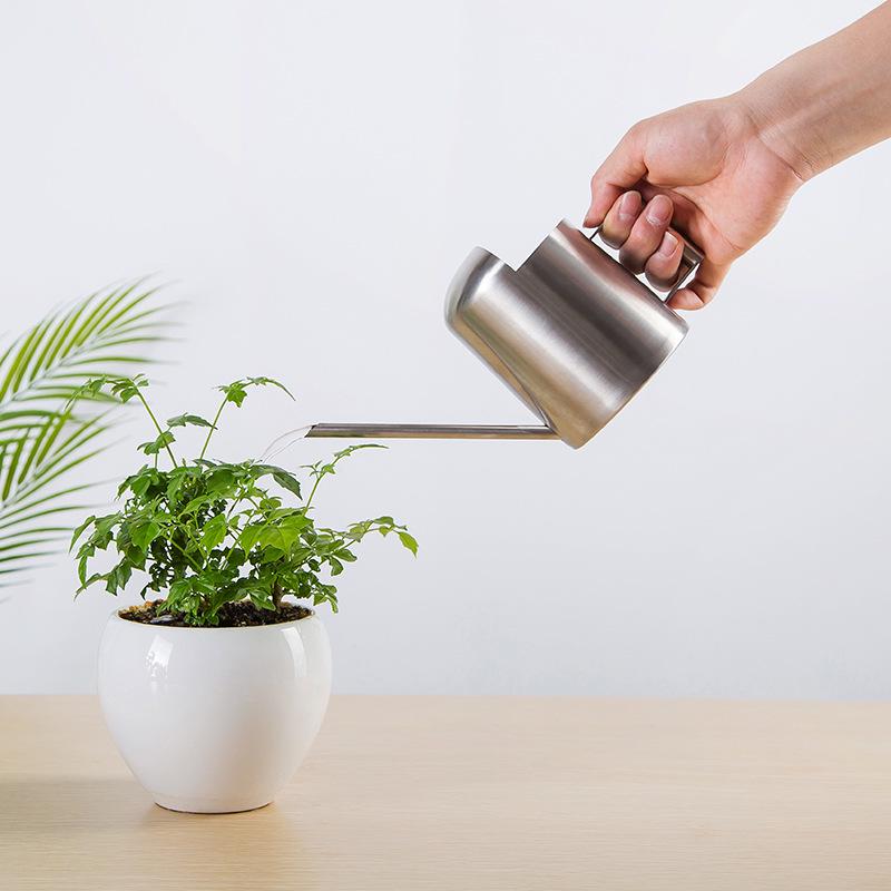 300ML Stainless Steel Watering Can with Long Spout for Plants and Succulents - Ideal for Kids and Mini Gardens