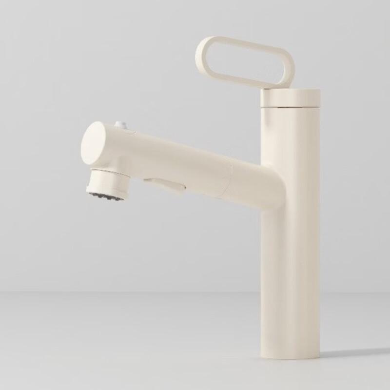 TLXT Pull-Out Bathroom Basin Faucet