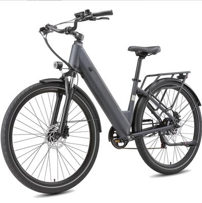 Maxtron Lira Urban elektrické kolo 250W motor 48V 15Ah baterie 28*2,0 palcová kola hydraulické kotoučové brzdy.